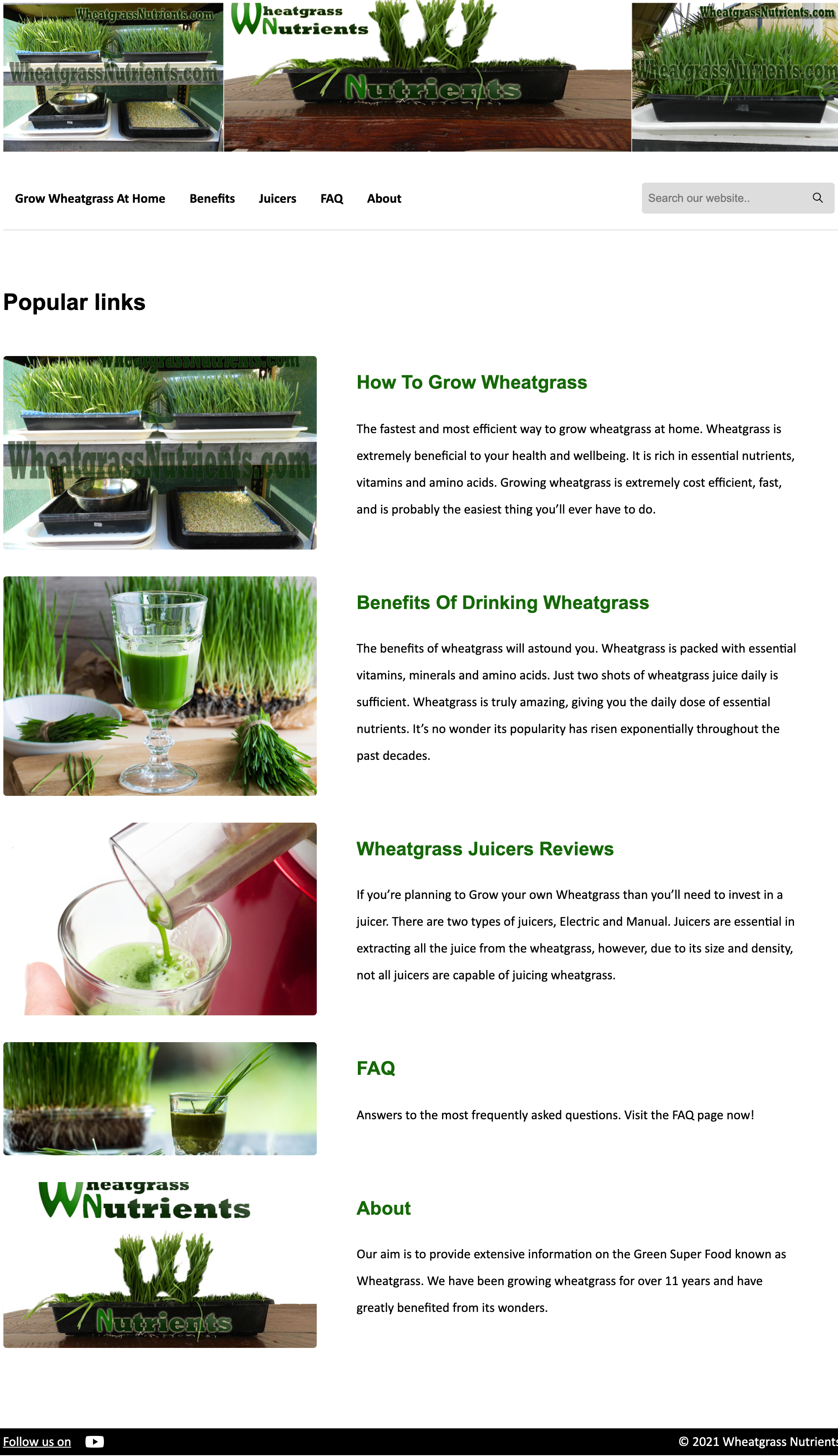 wheatgrass-nutrients